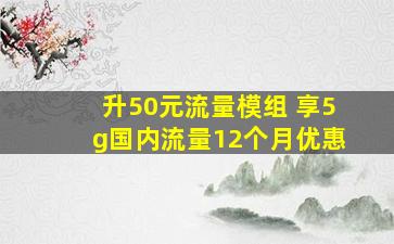 升50元流量模组 享5g国内流量12个月优惠